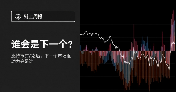 比特币ETF之后,“下一个大币”到底该怎么找?