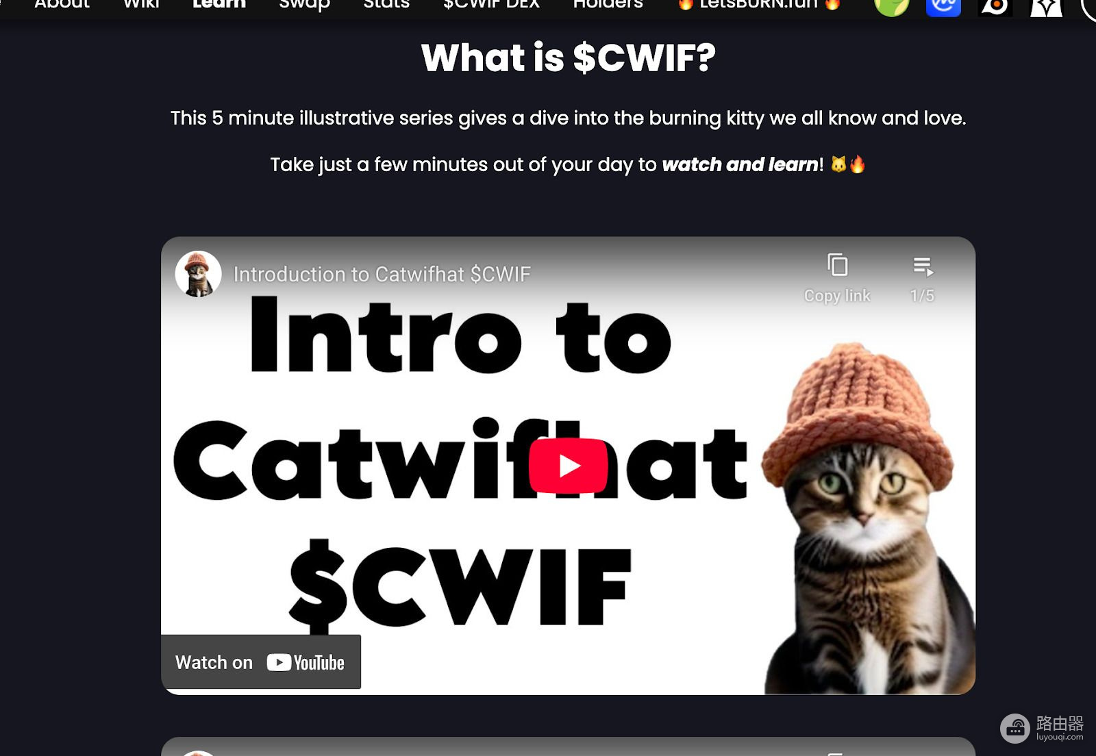 Catwifhat(CWIF)币的核心看点? 迷因加通缩Solana上那只猫