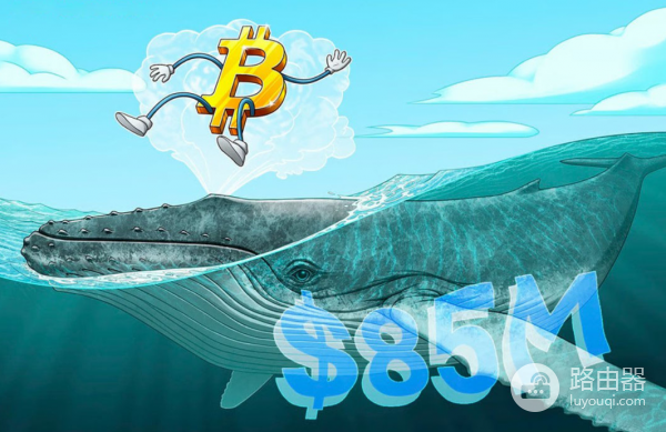 比特币巨鲸苏醒是为了抵御量子攻击?钱包准备好应对量子攻击了吗?