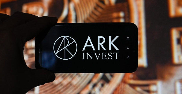 ARK区块链是什么?TypeScript开发环境与自定义链一键部署