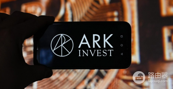 ARK区块链是什么?TypeScript开发环境与自定义链一键部署