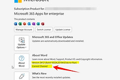 Microsoft Office版本滞后且无法更新的解决方法