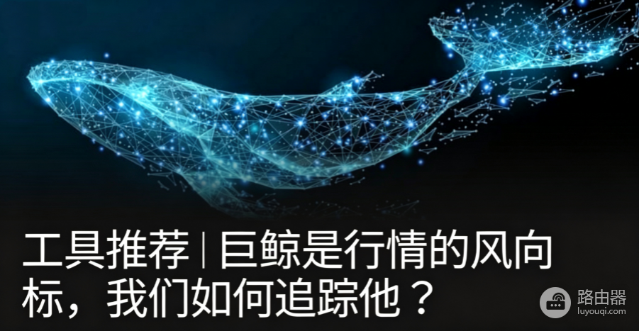 区块链浏览器新手场景:查鲸鱼调仓和验证合约