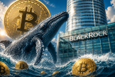 币圈巨鲸正在消失？从中本聪到BlackRock ETF的市场权力重构