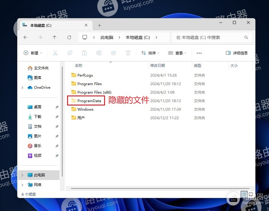 Win11系统中显示隐藏文件方法
