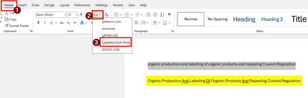word英文标题自动转换大小写:实词虚词一键处理教程