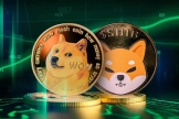 DOGE（狗狗币）和SHIB（柴犬币）哪个更适合长期持有？