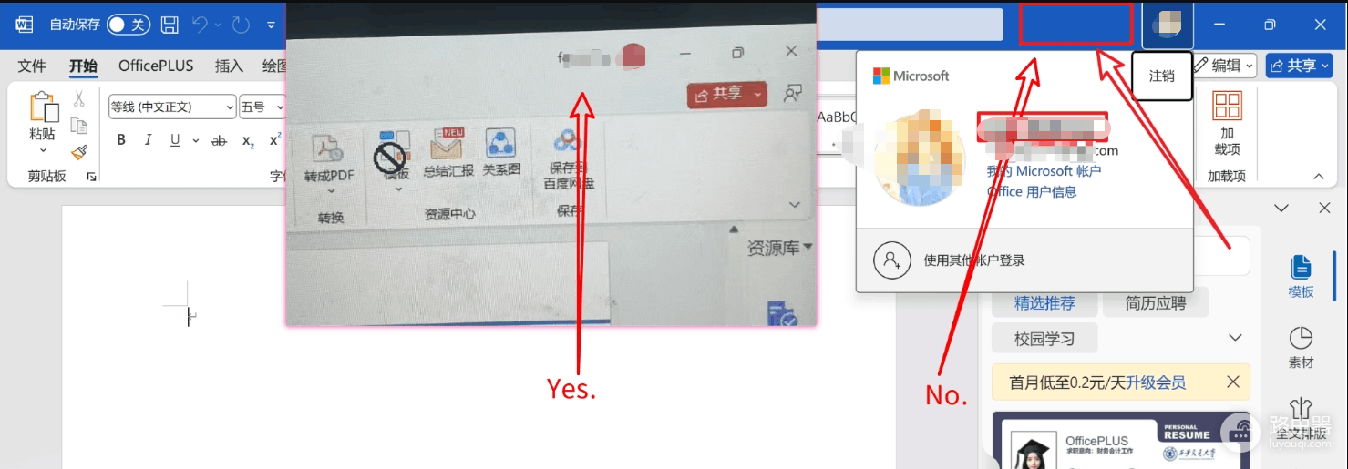office 2021不显示账户名称只显示头像怎么办?office界面UI异常修复