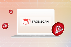 TRONSCAN官网入口 | 如何查TRC20 USDT交易记录？完整教程