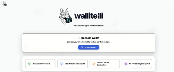 Wallitelli是什么？WALLI把链上分析做成了日常快照