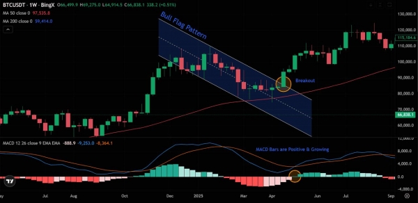 牛旗形态怎么看？和熊旗的区别