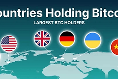 如何查看各国持有BTC比例?2026年全球政府比特币持仓数据