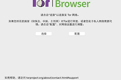 洋葱网络连接失败怎么解决（洋葱网络连接失败解决方法）