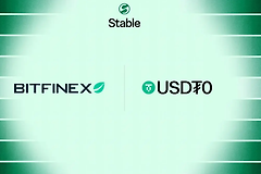 Stable公链是什么? 如何申购Stable公链?