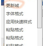 word撤销列表中更新域是什么意思？word域功能详解与作用