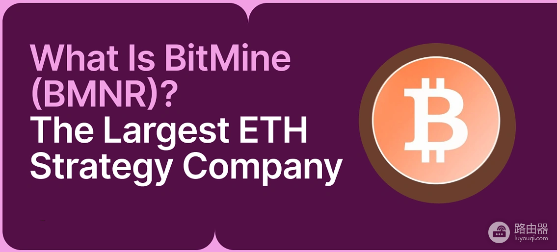 从比特币到以太坊:BitMine与Strategy熊市浮亏对比,谁才是真正长期主义?