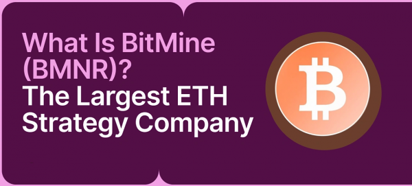 从比特币到以太坊:BitMine与Strategy熊市浮亏对比,谁才是真正长期主义?