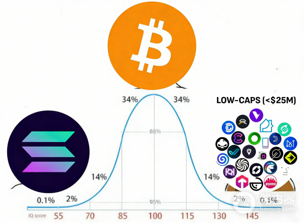 长尾币是什么?加密市场的探索者“小众明星”