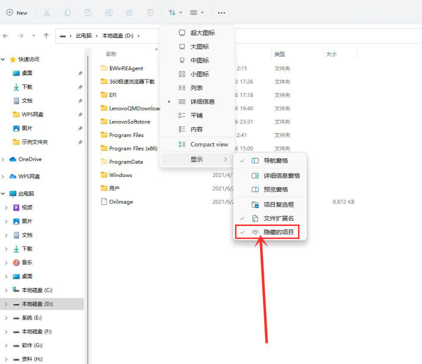 如何查看Win11的隐秘项目