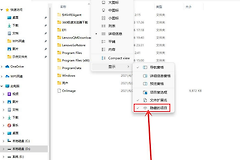 如何查看Win11的隐秘项目