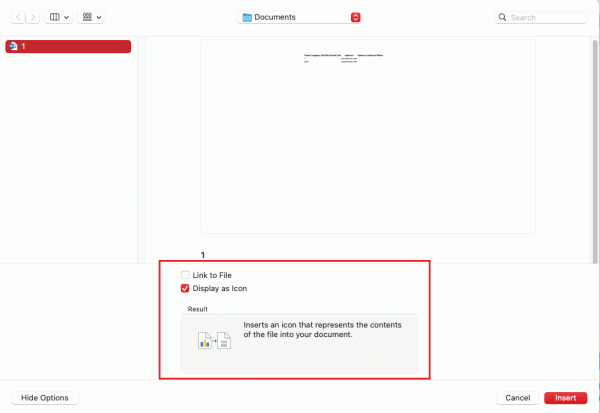 mac word插入对象不显示图标？16.90版本解决方法