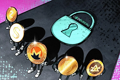 除了ZEC，还有哪些隐私币值得买?