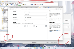 win11屏幕变粉色有阴影怎么办？显示器色彩异常修复教程
