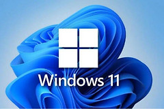 win11打不开安卓文件是什么原因