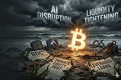 比特币如何抵御货币贬值与资产泡沫？系统性金融危机后的价值放大
