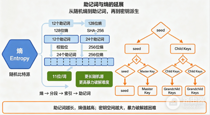 12位和24位助记词有什么区别?熵差多少、被猜中概率差多少