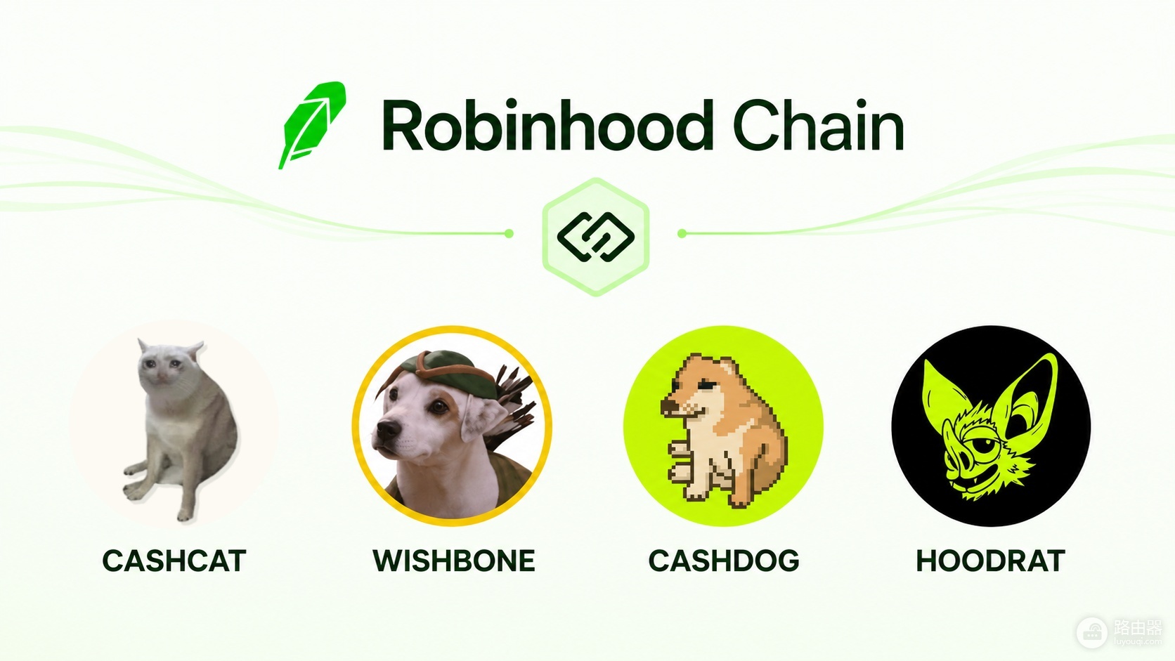 Robinhood Chain热门Meme币盘点:谁会成为下一个BONK?