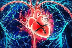 XRP在跨境支付中的优势与市场潜力，XRP的价值支柱