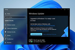 Win11如何设置动清理垃圾