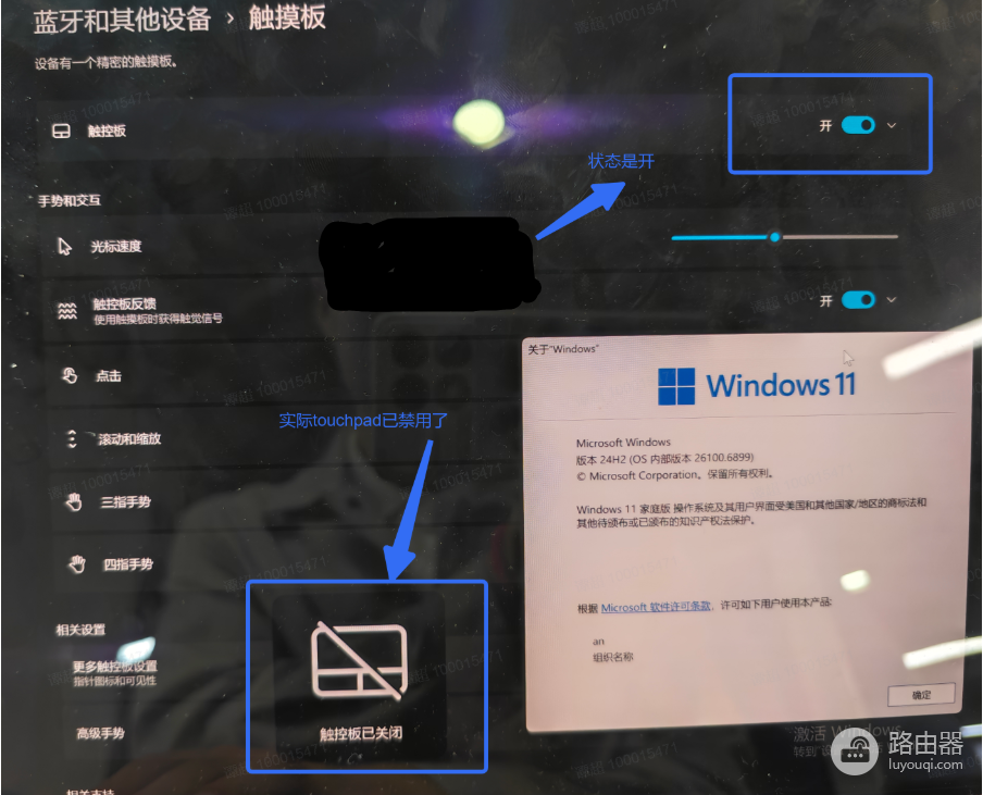 Win11设置应用触控板状态不同步?深度解析与排查建议