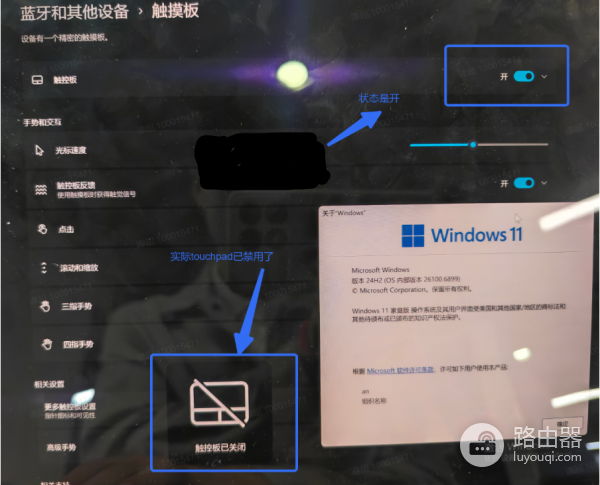 Win11设置应用触控板状态不同步？深度解析与排查建议