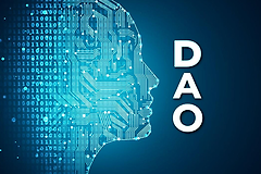 DAO到底是什么？DAO真的能取代公司吗？