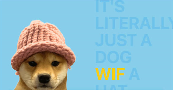 WIF是什么币?Dogwifhat用途及Solana生态介绍