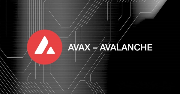 Avalanche C-Chain是什么？为什么它的手续费这么便宜？