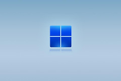 win11网卡驱动如何卸载