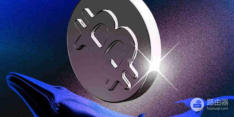 通过合约地址能查到什么信息?合约地址是什么,能追踪到个人吗?