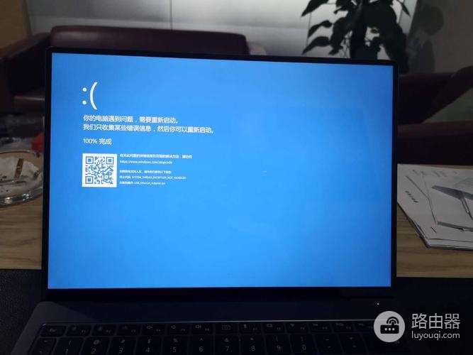 classpnp蓝屏在Win系统下出现该怎么解决