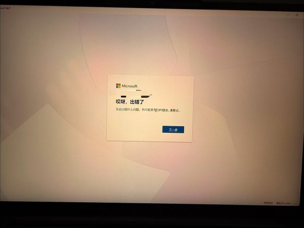 win11登录微软账户报错0x800704cf怎么办？商店无法登录修复方法