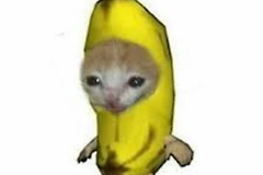 香蕉猫Meme币是什么？BCT代币购买流程