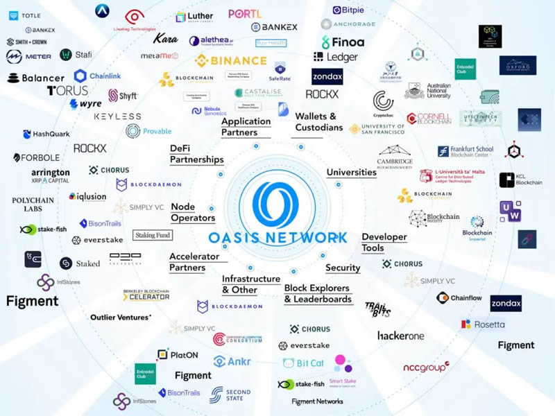 什么是Oasis Network？ROSE代币的潜力怎么样？推动隐私保护区块