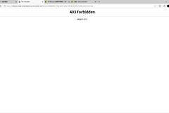 win11下载MediaCreationTool报错403 Forbidden怎么办？