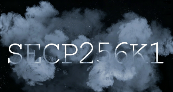 ECDSA是什么？椭圆曲线数字签名算法、secp256k1与比特币签名原理详解