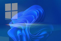 Win11局域网设置在哪里