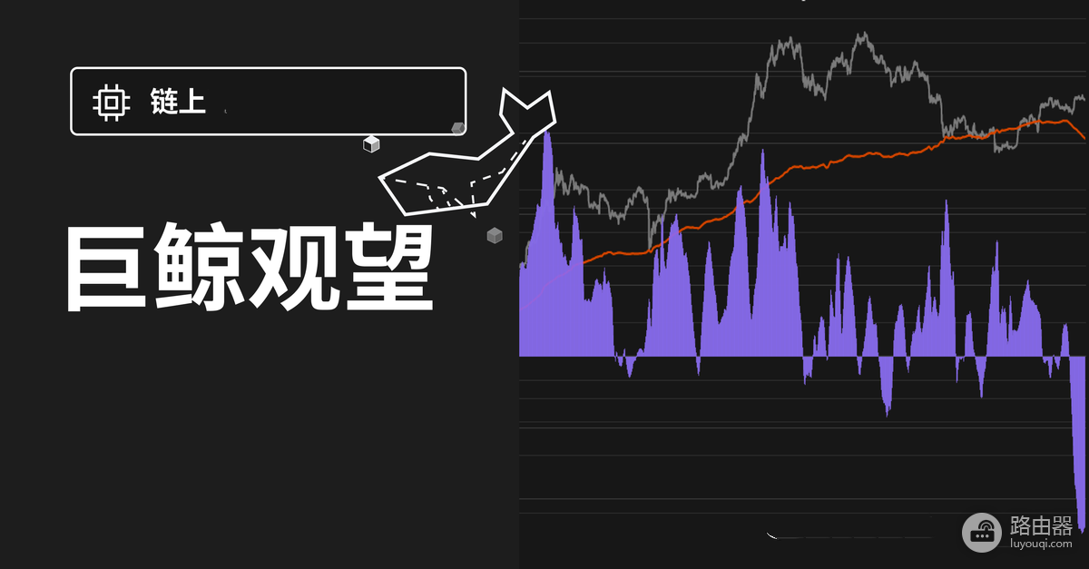 谁在持有最多比特币，全球最大持仓实体解析