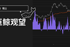 谁在持有最多比特币，全球最大持仓实体解析