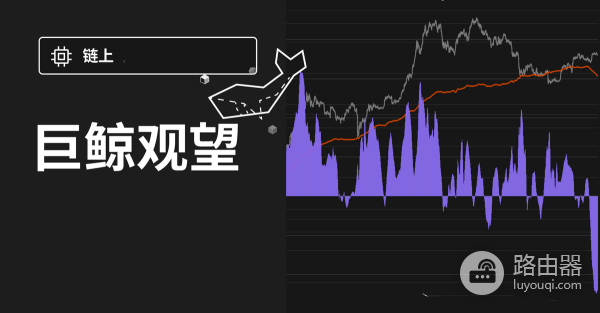 谁在持有最多比特币,全球最大持仓实体解析